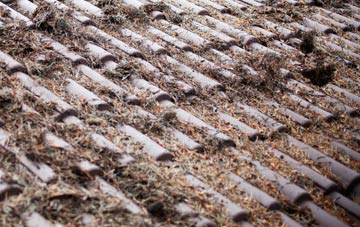 Corris Uchaf roof cleaning companies